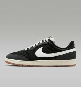 Air Jordan skyline low